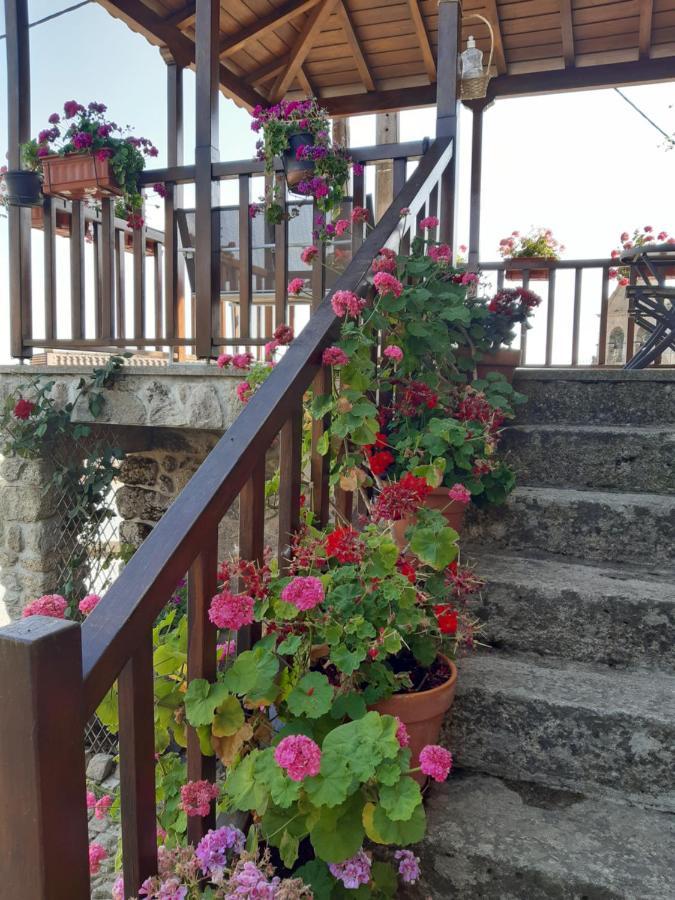 فيلا Casa Do Pelourinho Rebordainhos المظهر الخارجي الصورة